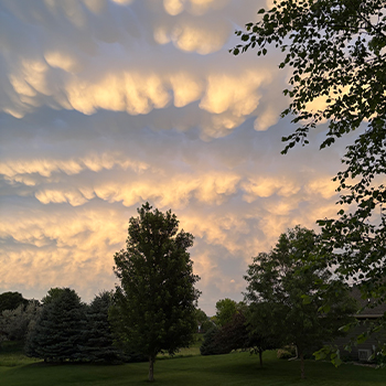 Pretty clouds